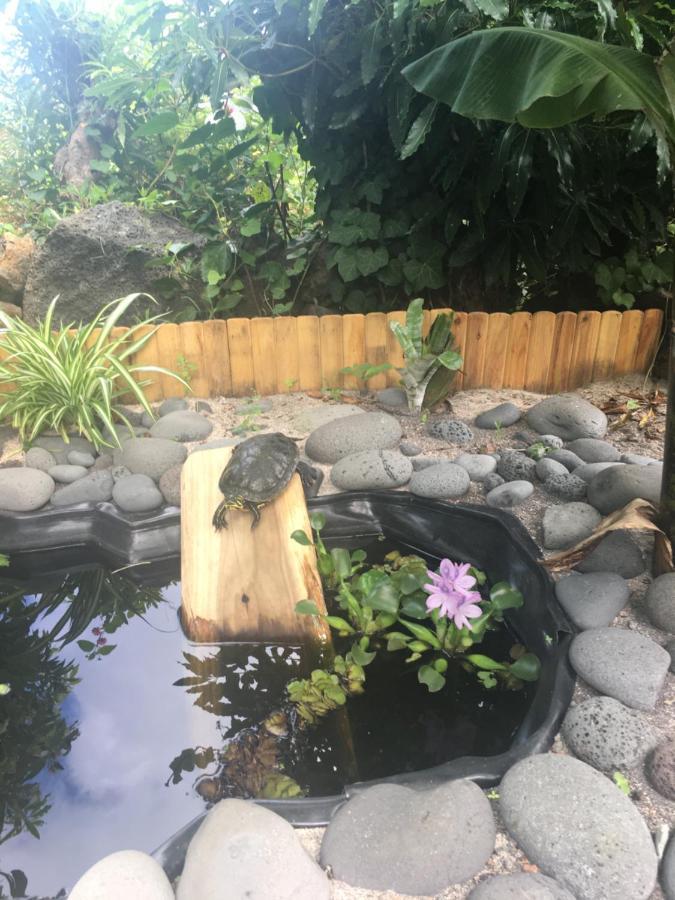 Quinta Das Almas São Roque do Pico Zewnętrze zdjęcie