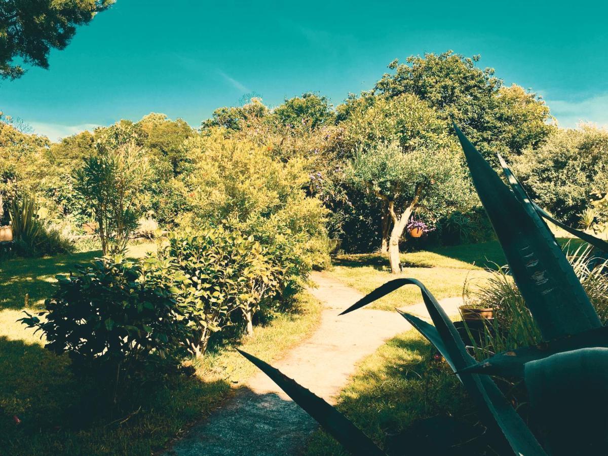 Quinta Das Almas São Roque do Pico Zewnętrze zdjęcie