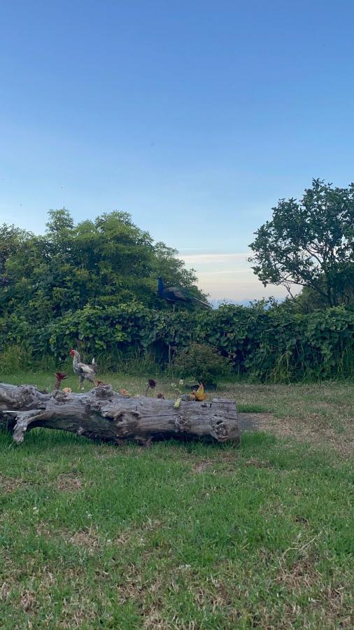 Quinta Das Almas São Roque do Pico Zewnętrze zdjęcie