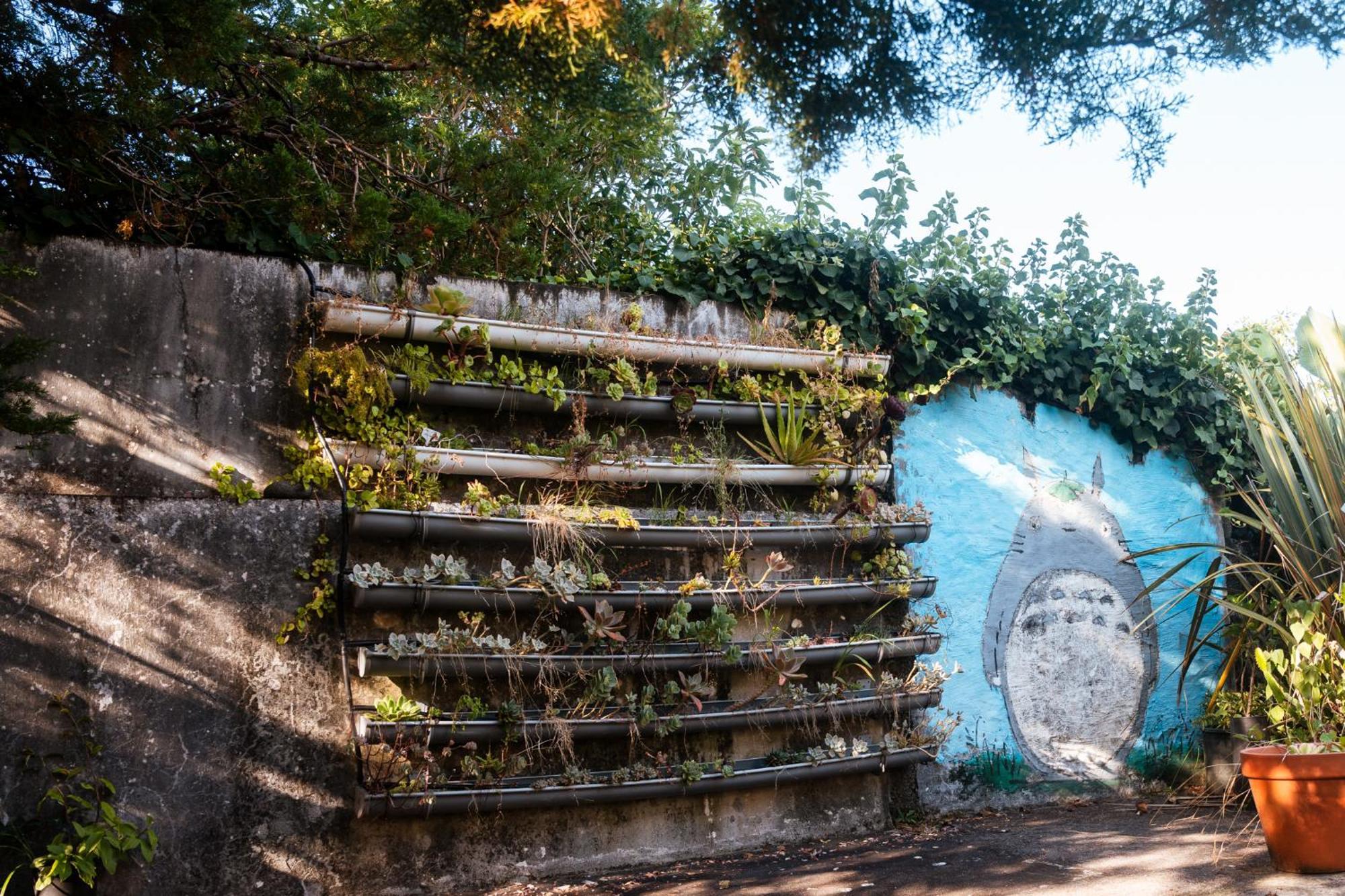 Quinta Das Almas São Roque do Pico Zewnętrze zdjęcie